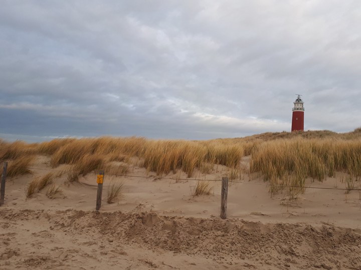 Texel, uitjes, Ecomare, vakantiepark de krim, strandtent, de koog, den burg, jan plezier