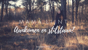 mama.lijnt, mamablog, mama van dijk