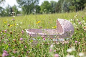 adoptie, beginseltoestemming, wachten, adoptieouders, ervaring
