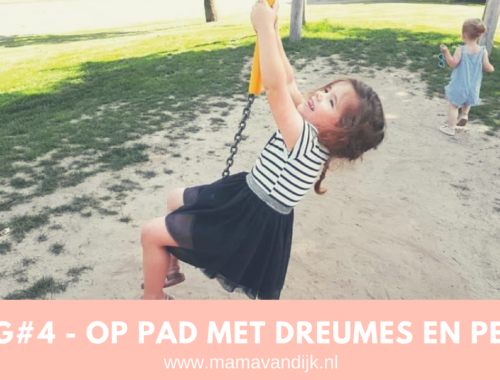 vlog mamablogger mama van dijk, met dreumes en peuter op stap