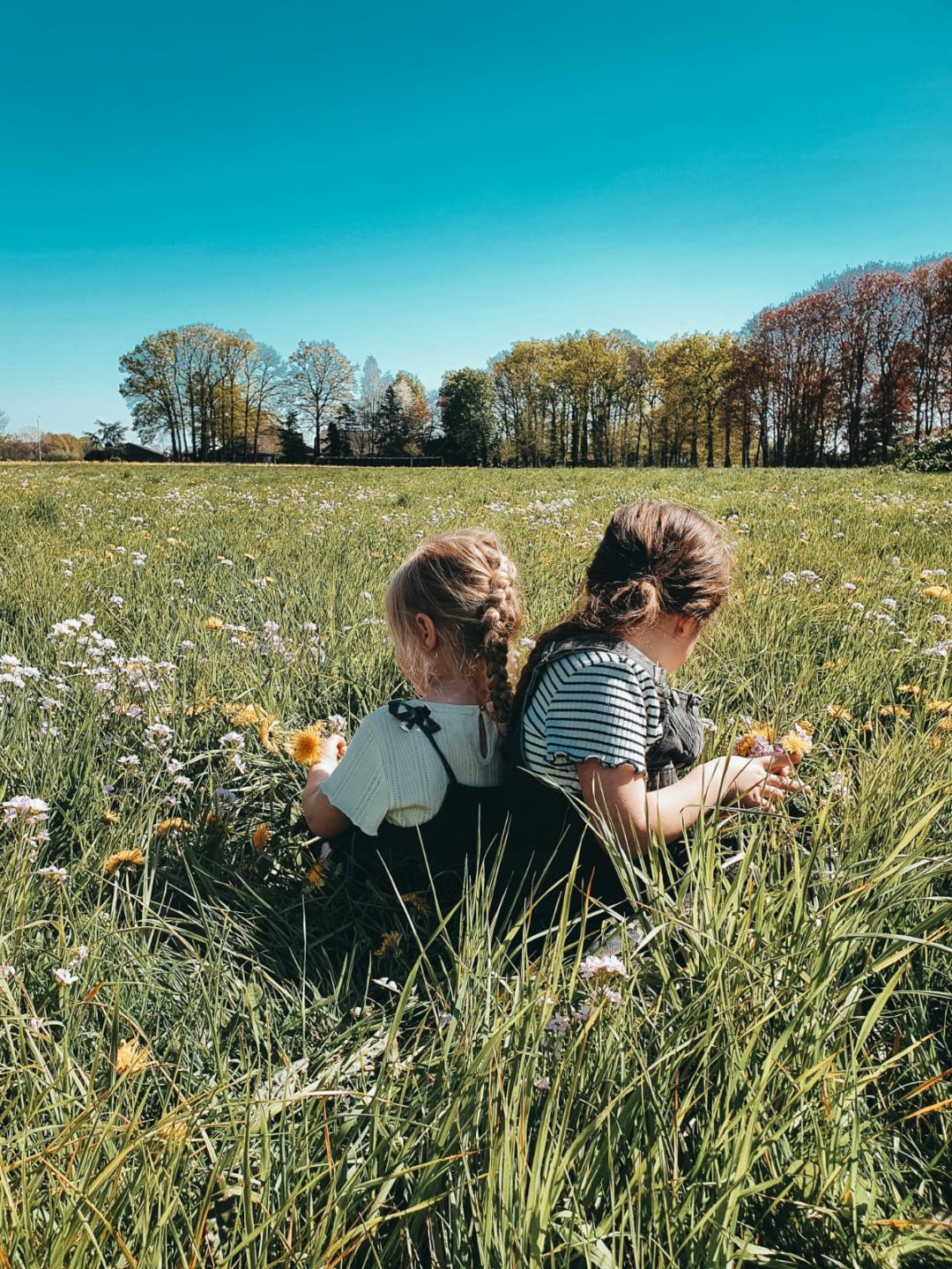 reizen met kinderen, dakkoffers thule