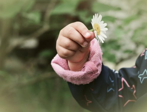 pleegzorg, ervaringen ouders, pleegouders, mamablog Mama van dijk