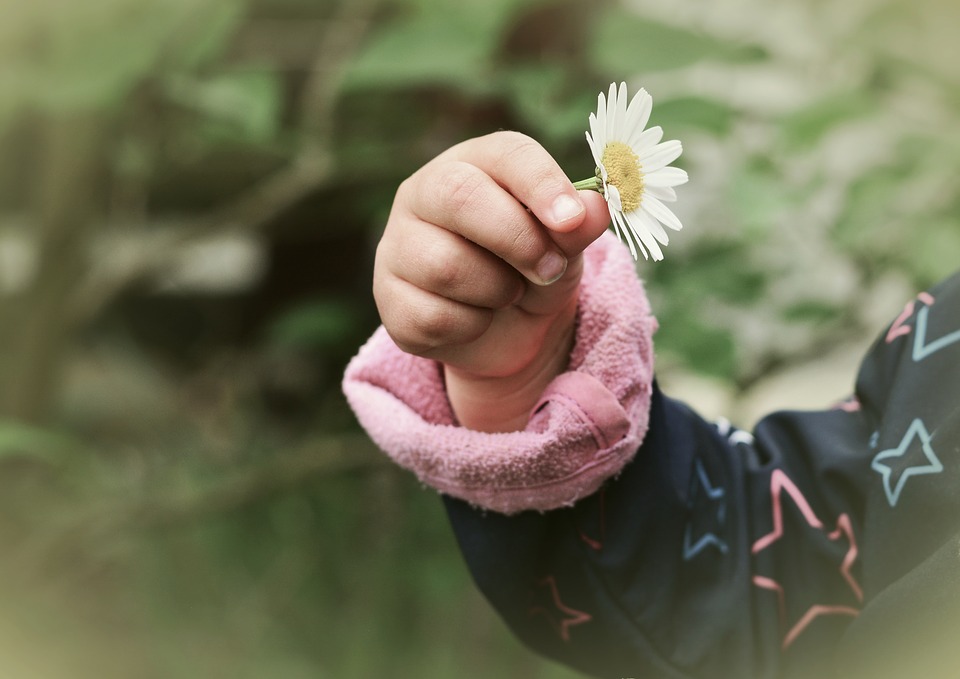 pleegzorg, ervaringen ouders, pleegouders, mamablog Mama van dijk