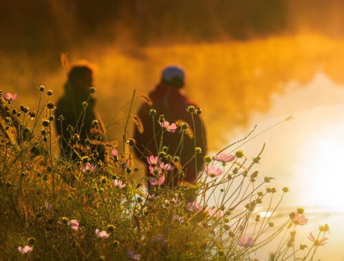 onderstroom van rust, schepping, mamablog mama van dijk